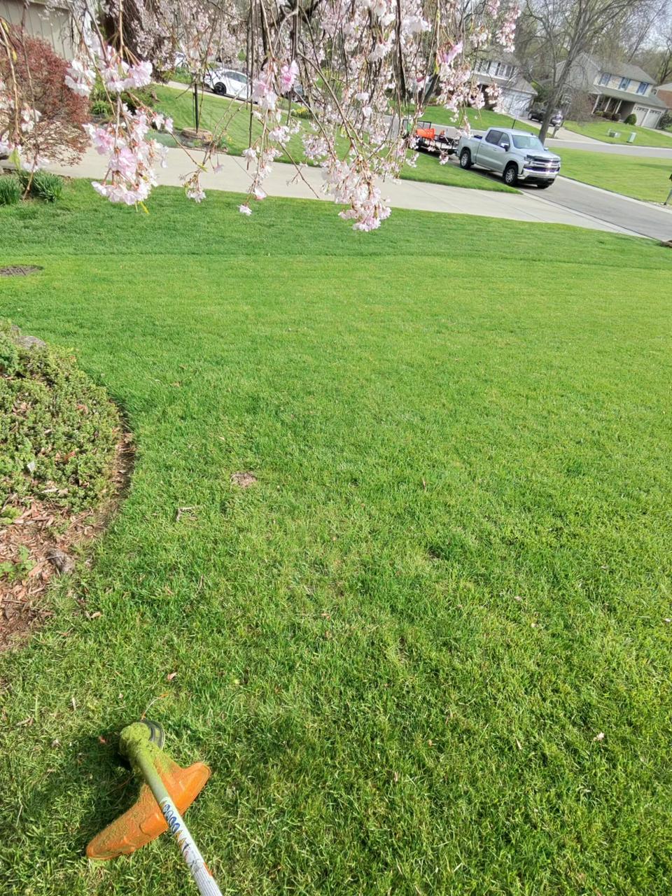 Beautifully maintained lawn