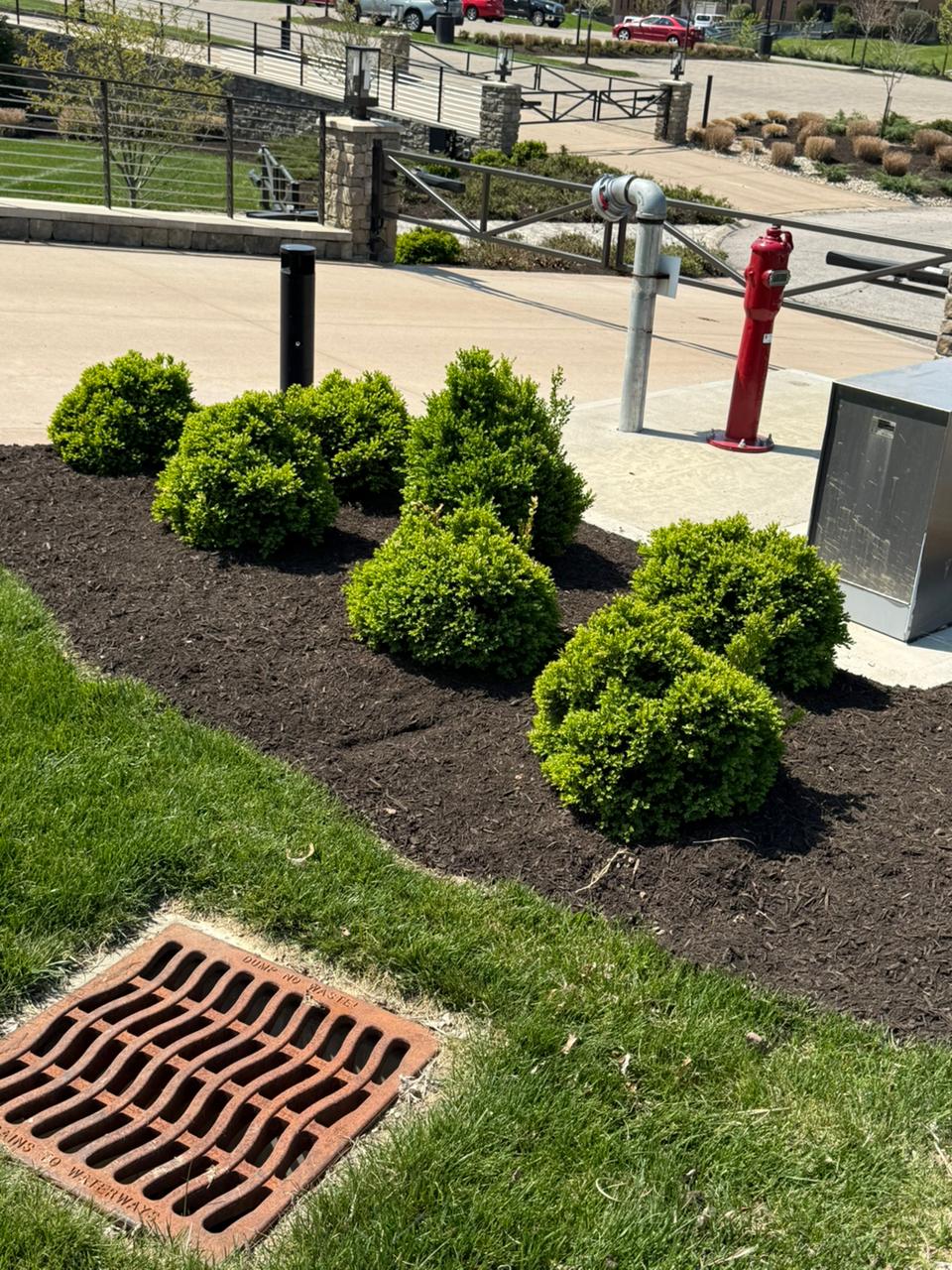 Professional landscaping work